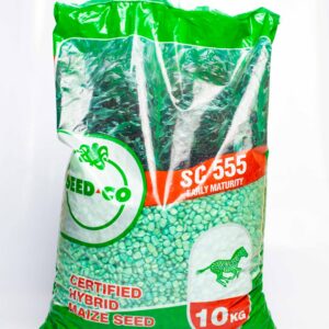 SEED MAIZE SC555 1X10KG [E